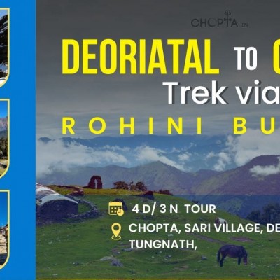 Deoriatal to Chopta Trek via Rohini Bugyal