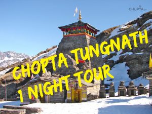 Chopta 1 Night Short tour package