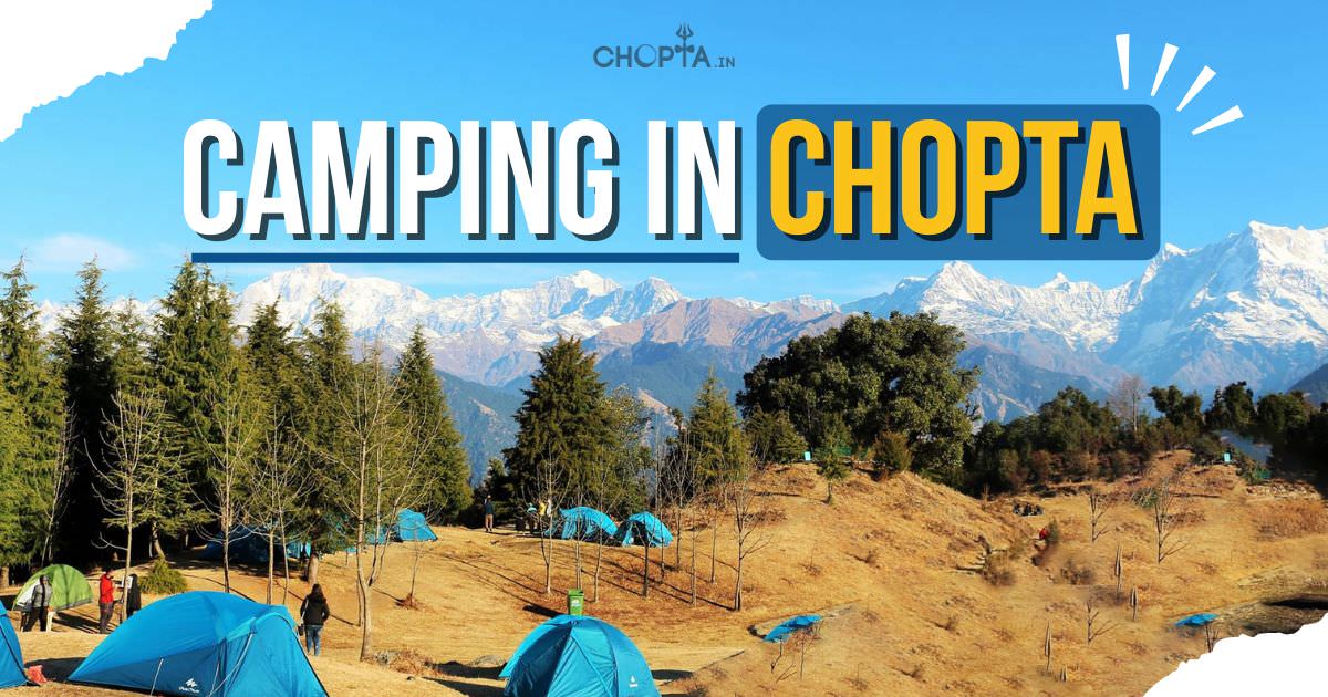 Camping in Chopta