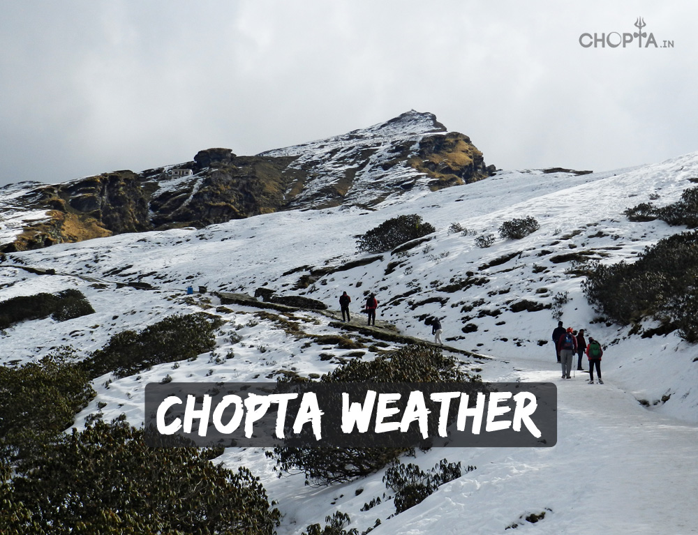 Best Time to Visit Chopta