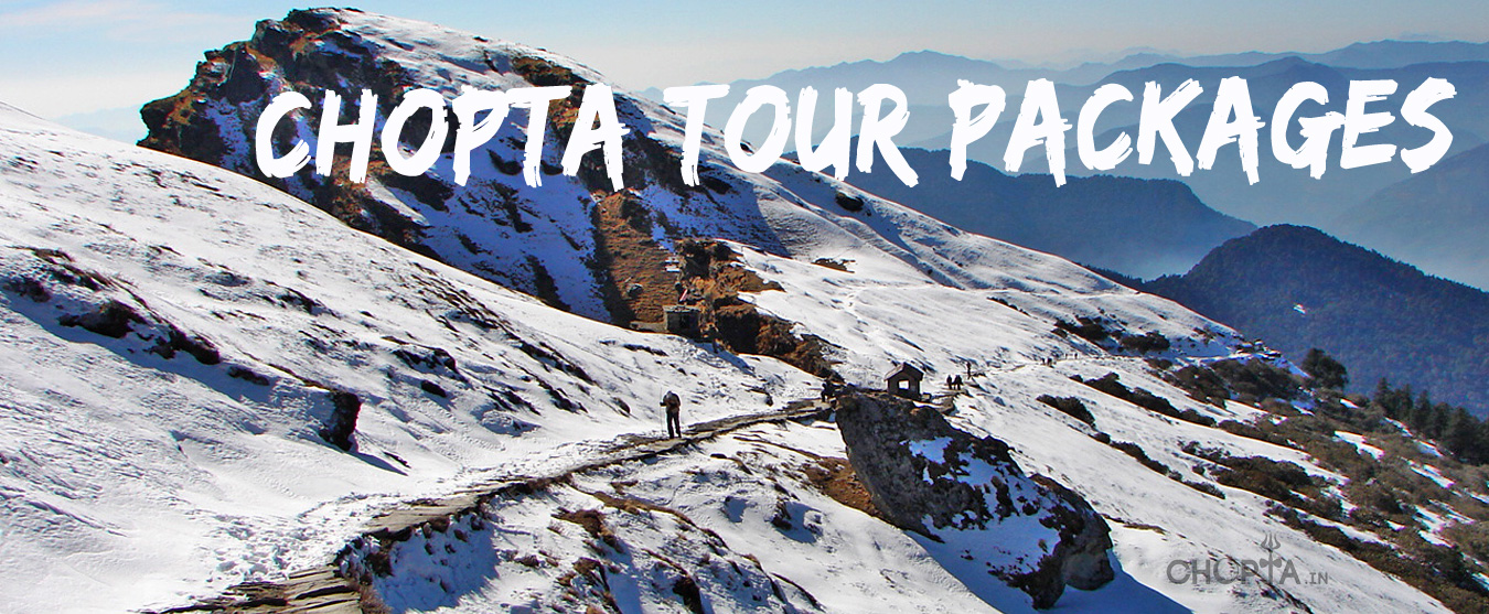 Chopta Tour Packages